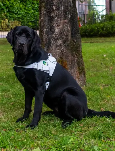 Connie sitting on grass
