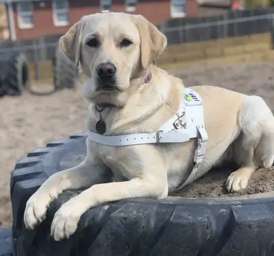 Vicky lying across a tyre at the Training Centre