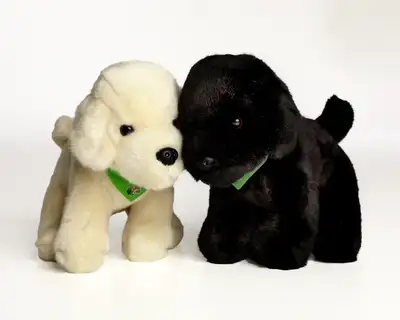 Yellow and black snuggle dogs