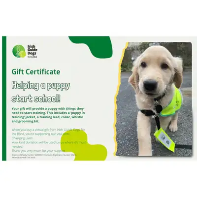 A Gift Certificate showing a pup and the words Helping a puppy start school