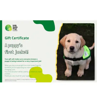 A Puppy's First Jacket