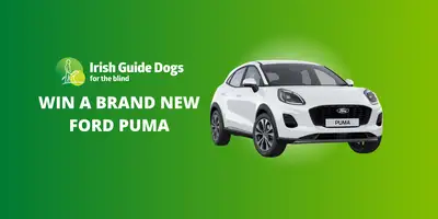 Poster for the car raffle showing a white Ford Puma