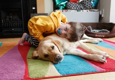 Charlie with his Assistance Dog Iona lying down together