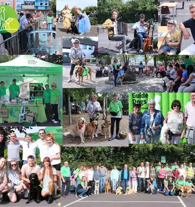 Green image with paw prints showing the IGDB logo and the words Official Event