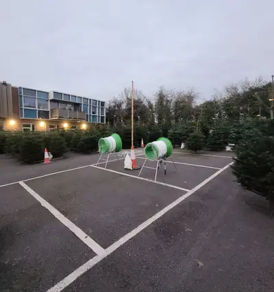 Christmas Trees available at Irish Guide Dogs for the Blind National Training Centre