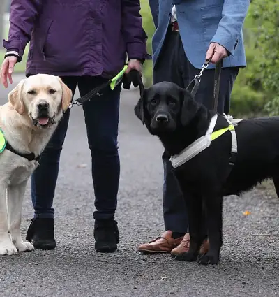 83% of Guide Dog & Assistance Dog owners  refused access despite legal rights