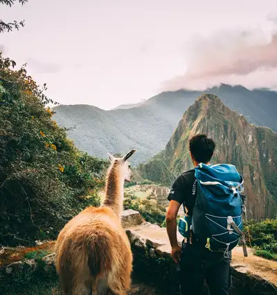 Trek to Machu Picchu 