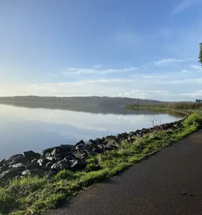Green image with paw prints showing the IGDB logo and the words Official Event