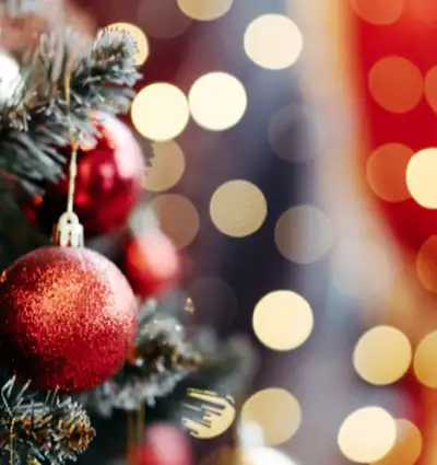 Festive safety for our four-legged friends