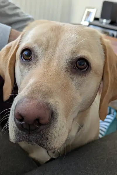 Close up of Hazel's face