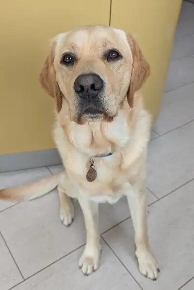 Ever sitting on a tiled floor looking up to camera