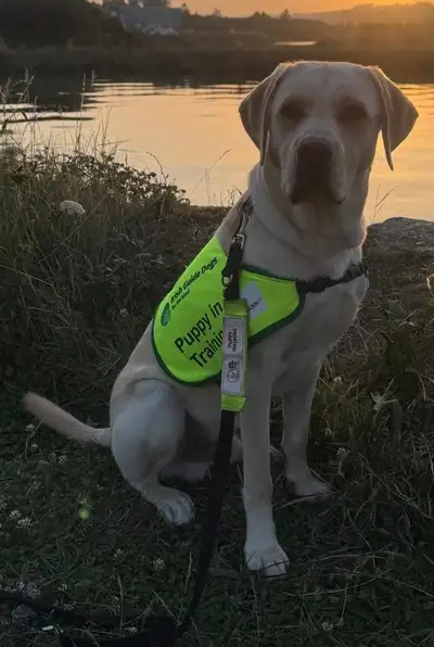 Inish sitting on a water bank with the sunseet reflecting on the water