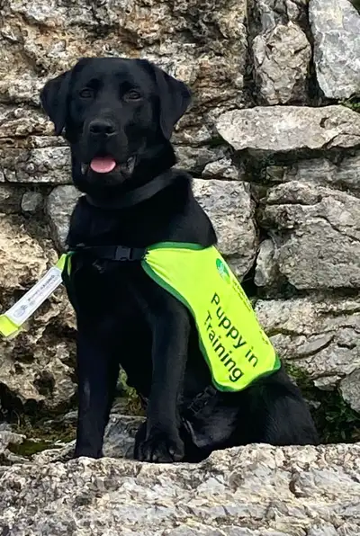 James sitting beside a stone wall