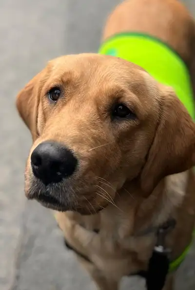 Close up shot of Mattie's face