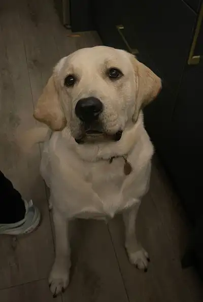 Marcus standing looking up to camera