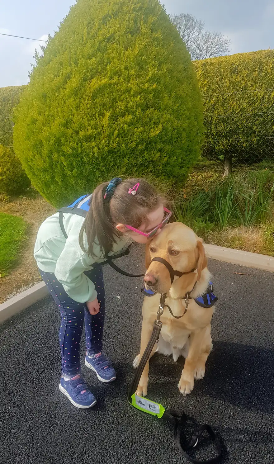 Irish Guide Dogs for the Blind Assistance Dog Programme FAQs